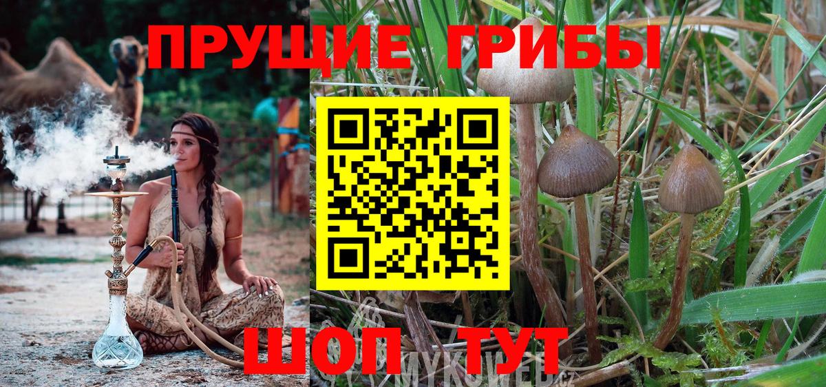 Псилоцибиновые грибы ЛСД  Псилоцибиновые грибы мицелий  Мегион  Вход с VPN 